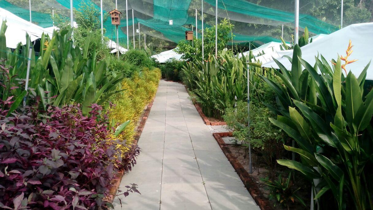 T Garden Vila Pantai Cenang  Exterior foto