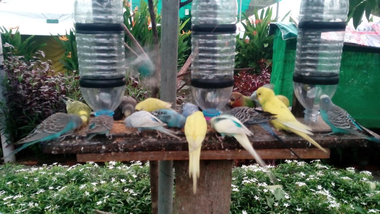 T Garden Vila Pantai Cenang  Exterior foto