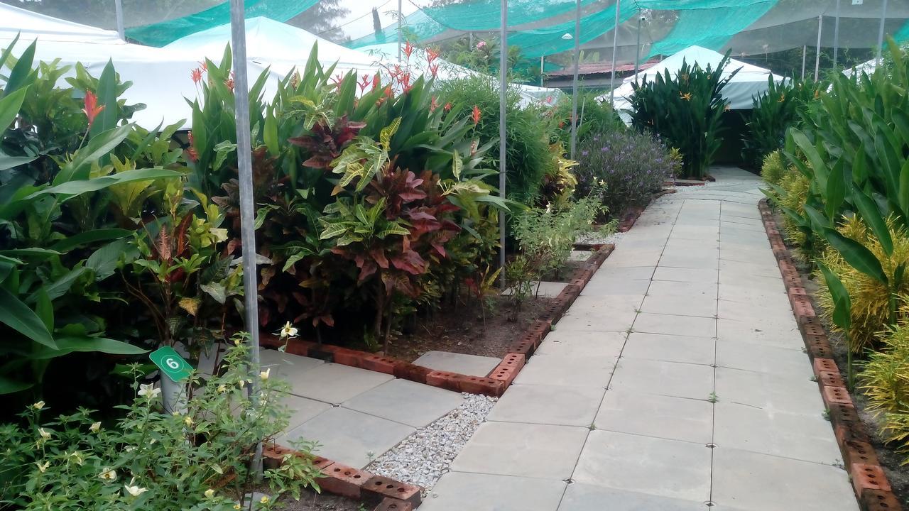 T Garden Vila Pantai Cenang  Exterior foto