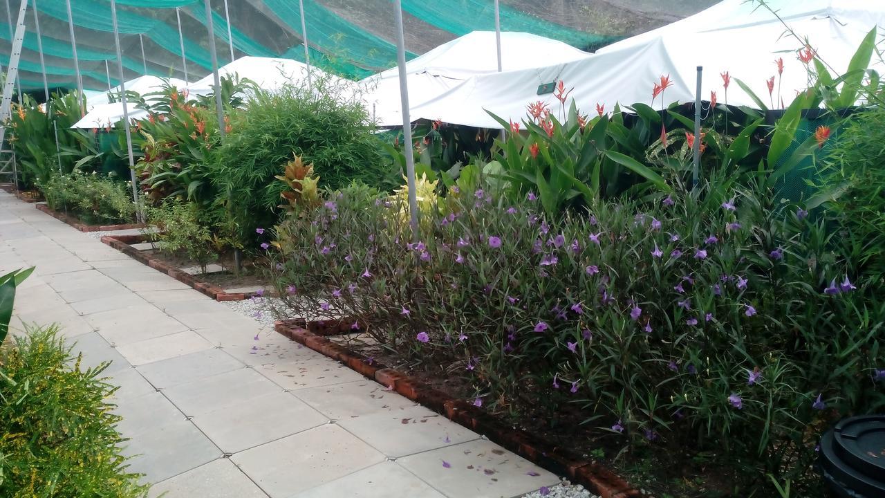 T Garden Vila Pantai Cenang  Exterior foto