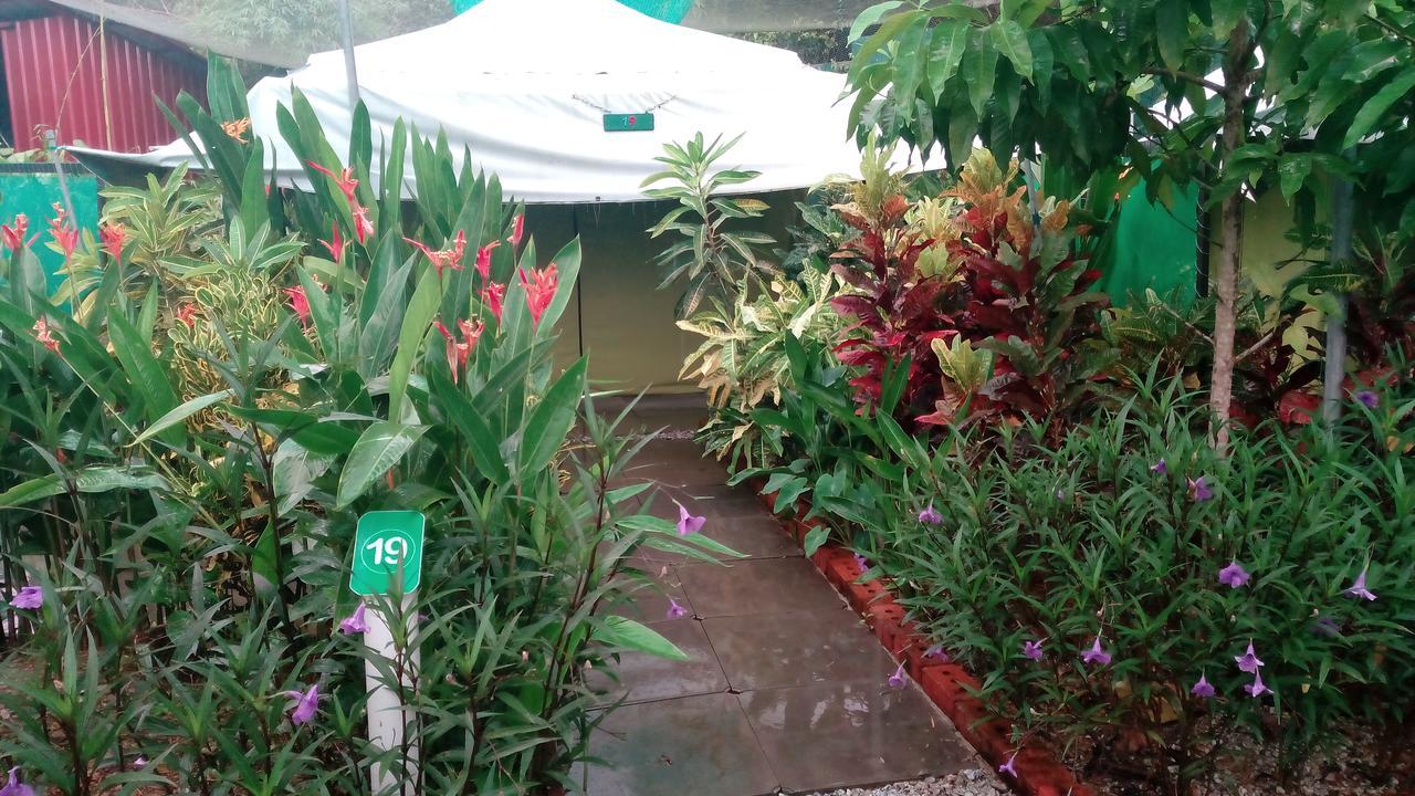 T Garden Vila Pantai Cenang  Exterior foto