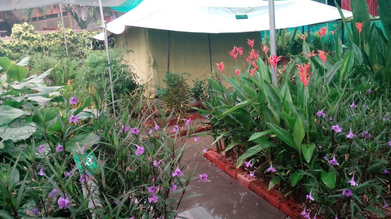 T Garden Vila Pantai Cenang  Exterior foto