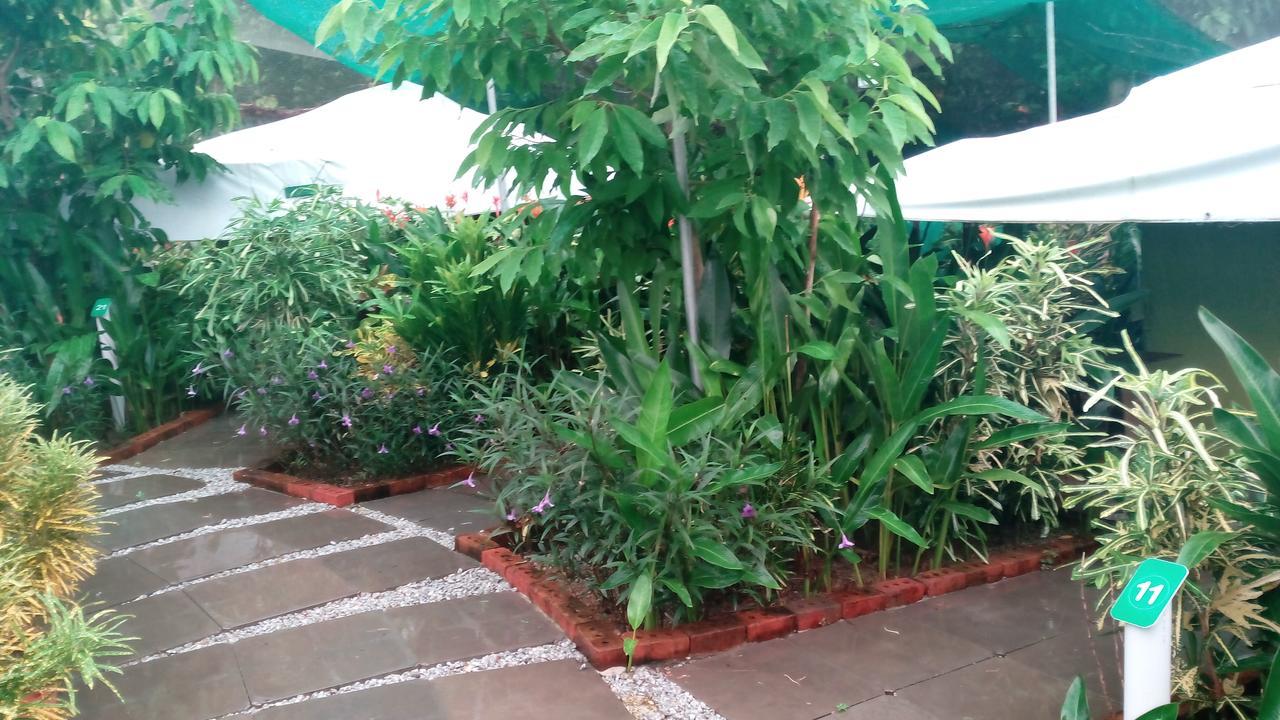 T Garden Vila Pantai Cenang  Exterior foto